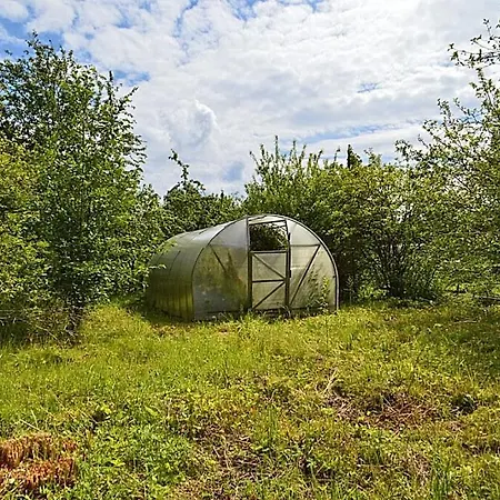 Golubaja Ustrica House شقة Valaste